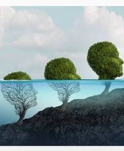 Collin Pradat Laurence image 7