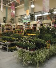 Jardinerie HORNBACH Riddes Bild 2