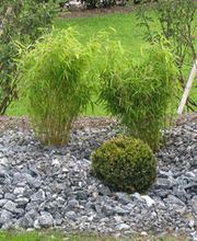 Gartengestaltung Andreas Jakob GmbH Bild 4