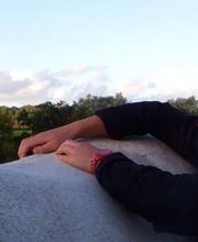 Loncke Clothilde image 3