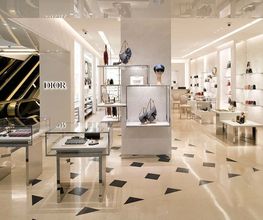 DIOR imagen 1