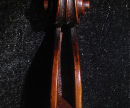 Eschenbrenner Denis image 6