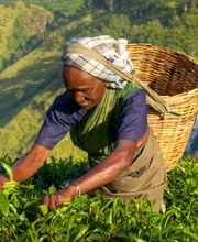 Asian Roads image 13