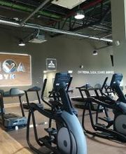 Gimnasio VivaGym Islazul imagen 5