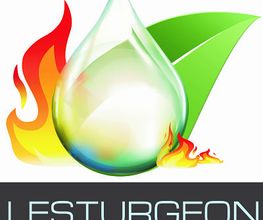 Lesturgeon Gaetan image 15