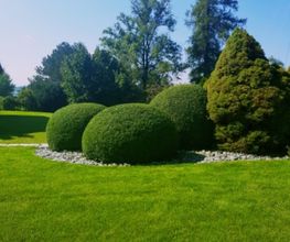 Urs Brunner Gartengestaltung Bild 6
