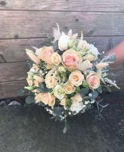 Lägere Blueme GmbH Bild 6