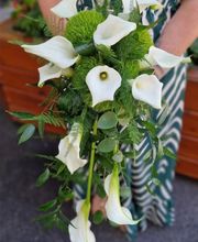 Aux Arcades fleurs Bild 1