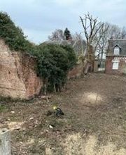 Roye Garden image 15