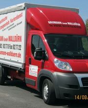 Baumann GmbH Nutzfahrzeugverleih Bild 4