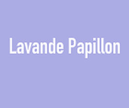 Lavande Papillon image 1