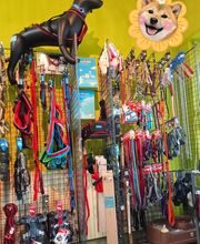 Le Cabot Elegant image 3