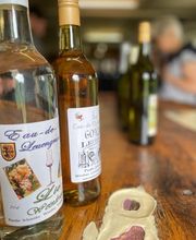 Weinbau Leuengrund - Schneider Weine Bild 9