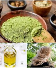 Sophie's Tifs Bild 3