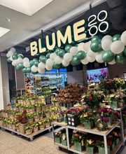 BLUME2000 Darmstadt Bild 1