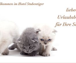 Hotel Stubentiger Bild 1