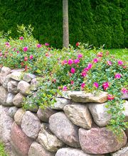 Landschaftsbau Nord Bild 16