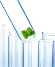 Alisma Filtration image 3