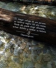 225071554-2-tSv9AdYyDJ1783219200447.png