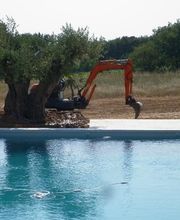 Pépinière Jolijardin image 6