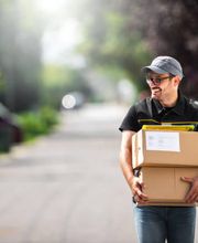 Allstar Courier Antonijevic Bild 8