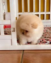 El Edén de Lilith imagen 3