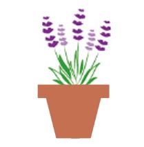 Bioflore Provence Pépinière & Horticulture