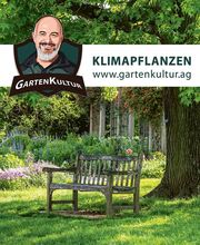 Gartenkultur Daniel Ruprecht AG Bild 1