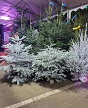 Aux Relooking image 12