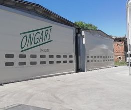 Gallery Cliente