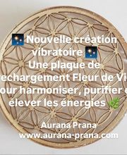 Aurana Prana image 3