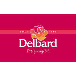 Delbard Melle