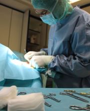 Clinique Vétérinaire Delémont Bild 4