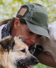 Projekt Geistreich Bild 4