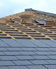 Zulauf Daniel Bild 6