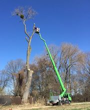 Baum-plus GmbH Bild 3