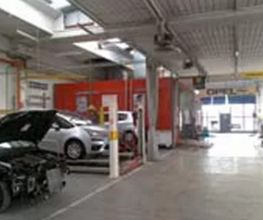 Gallery Cliente