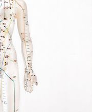 Ducaroy Maïa image 8