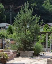 Roth Baustoffe GmbH & Co. KG Bild 8