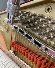 Bulanda Fanny image 6