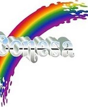 Conesa SARL image 6