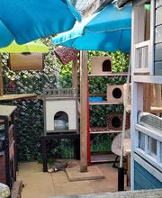 L'arche de Corinne image 18