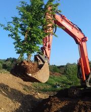 Denis Bidard EURL image 3