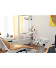 Steininger Sabine Dr. Bild 4