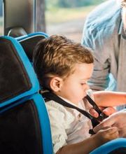 Accredited Insurance Group, Inc. image 8