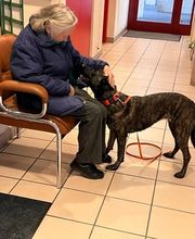 DetectDOG by HDD, Horner Détection Désinfestation sàrl Bild 9