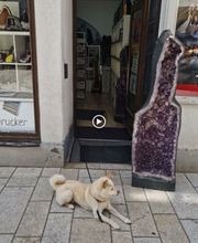 N-G-L-Shop Bild 6