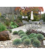 Rieger Gartengestaltung GmbH & Co. KG Bild 4