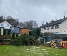 Baumdienst Behan Bild 3