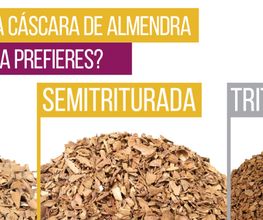 6-ALMENDRA-1024x362-1024x362.png